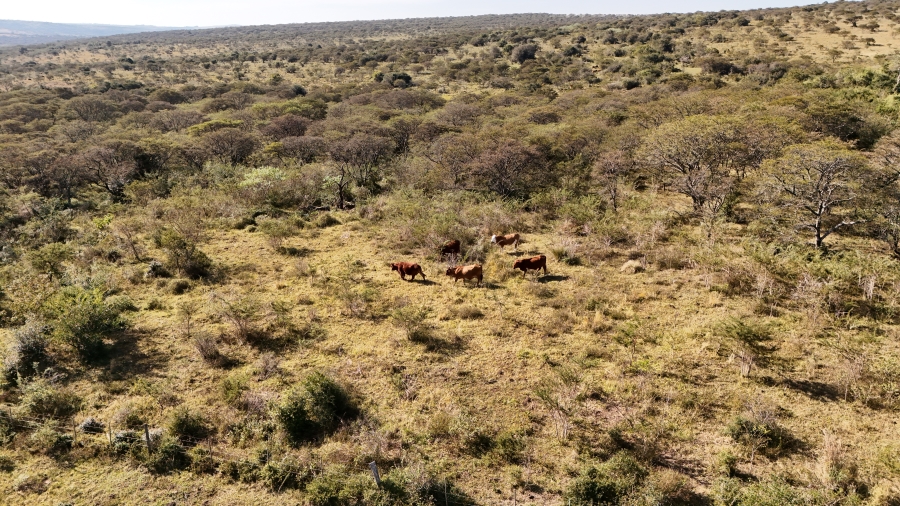 Commercial Property for Sale in Kei Road Eastern Cape
